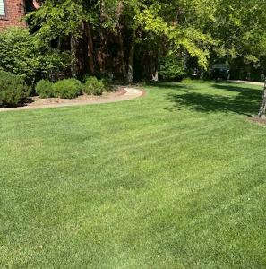 Lawn 316 - Wichita Lawn Mowing | Andover Kansas Lawn Care