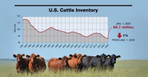 U.S. cattle inventory trends from 1981 to 2025, with herd size falling to 86.7 million.