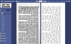 Tikkun view in custom Virtual Tikkun of unique Torah scroll