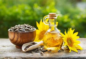 Sunflower Oil Market