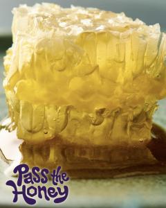 Fresh honeycomb
