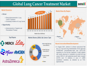Global Lung Cancer Treatment Market