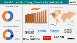 Cell and Gene Therapy Manufacturing Services