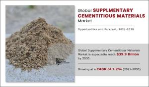 Supplementary Cementitious Materials Market Share