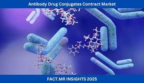 Antibody Drug Conjugates Contract Market