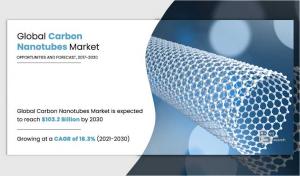 Carbon Nanotube Market Share
