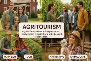 Agritourism Market GAI