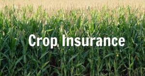 Crop Insurance Market