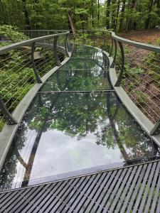 Glass flooring