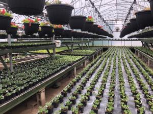 Jardin Dion Greenhouse
