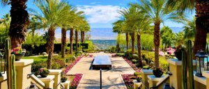 Lush garden with palm trees, vibrant flowers, and a reflective pool, overlooking scenic mountains under a clear blue sky.