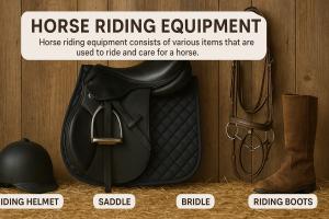 Horse Riding Equipment Market 1