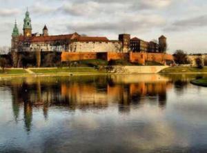 Vegan Polish Culinary Landscape with Traditional and Modern Plant-Based Cuisine, Reflecting Rich Cultural History