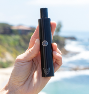 Linx: pioneers on the forefront of health consciousness