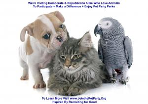 What Does Equality Look Like....