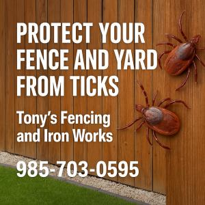 Close-up of a wooden fence with ticks and overgrown grass, promoting tick prevention tips from Tony’s Fencing and Iron Works in Covington, Louisiana.