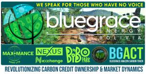 BlueGrace Energy Bolivia and BiBo Park Ibiza