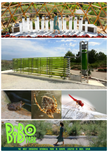 BIBO Park - The most innovative botanical park in Europe, located in Ibiza, Spain