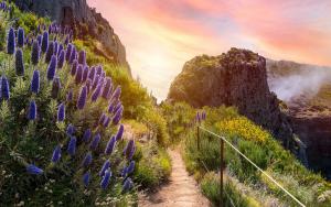 Madeira landscape