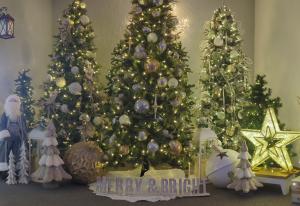 Three decorated Christmas trees with silver and gold ornaments, ribbon, and twinkle lights, surrounded by white faux fur trees, a glowing light-up star, oversized ornaments, lanterns, and a “Merry & Bright” sign in a festive indoor display.