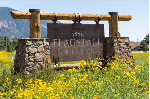 Flagstaff Arizona Sign surrounded by wild-flowers