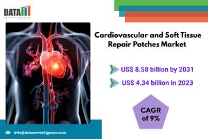 Cardiovascular and Soft Tissue Repair Patches Market