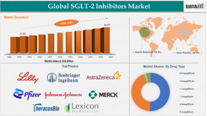 SGLT-2 Inhibitors Market