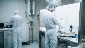 GMP mRNA Manufacturing