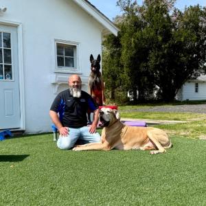 Lead The Way Dog Training