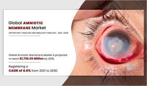 Amniotic Membrane Market, by Product