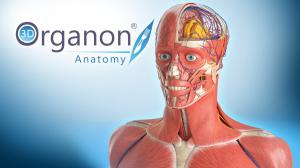 3D Organon Anatomy Partner with Munfaird for Middle East