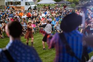 Concert goers listening to band play