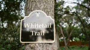 Whitetail Trail at Messina Inn