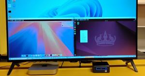 Windows Desktop with a macOS Kiwi Desktop and a Linux Kiwi Desktop