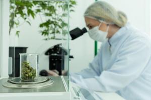 Cannabis Testing Market Trends 2025-2032