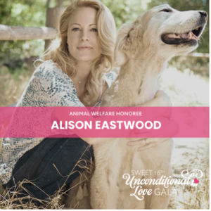 Animal Welfare Honoree Alison Eastwood (Image credits: SASF)