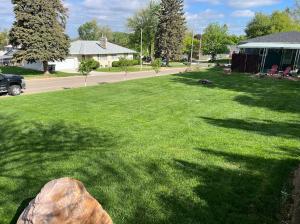 Lawn After Mowing