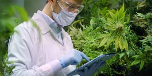 US Cannabis Testing Services Market-Growth