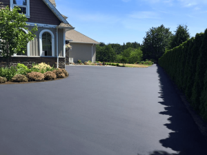 Asphalt Driveway Paving in Jackson, NJ