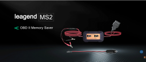 leagend MS2