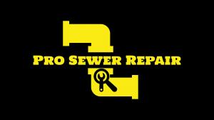 Pro Sewer  Repair Logo