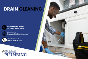 drain cleaning taylors