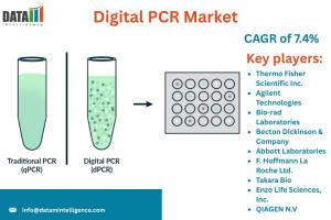 Digital PCR Market