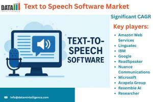 Text-to-Speech Software Market