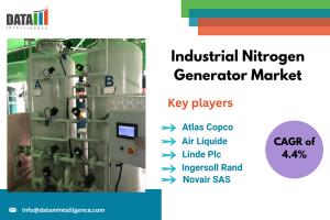 Industrial Nitrogen Generator Market