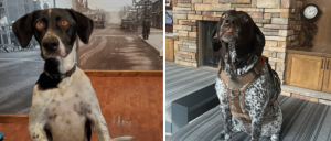 Two images of dogs side by side: a black and white dog in front of a vintage street scene and a brown-spotted dog indoors by a fireplace.