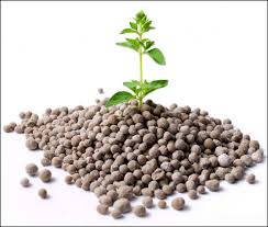 Phosphate Fertilizer Market Key Trends