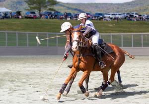 spectators watch an arena polo game at King Family Vineyard's Roseland Polo Club
