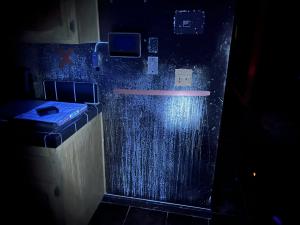 house odor removal service--