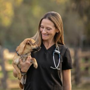 Dr. Lauren Ayala, at her practice of in home pet euthanasia in Sacramento, CA and surrounding areas